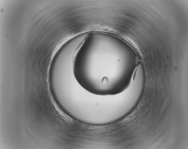 X0000086931128200705071346