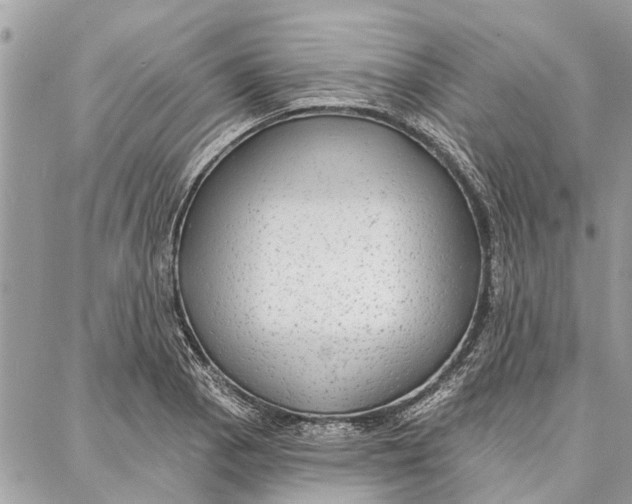 X0000086931129200705071346