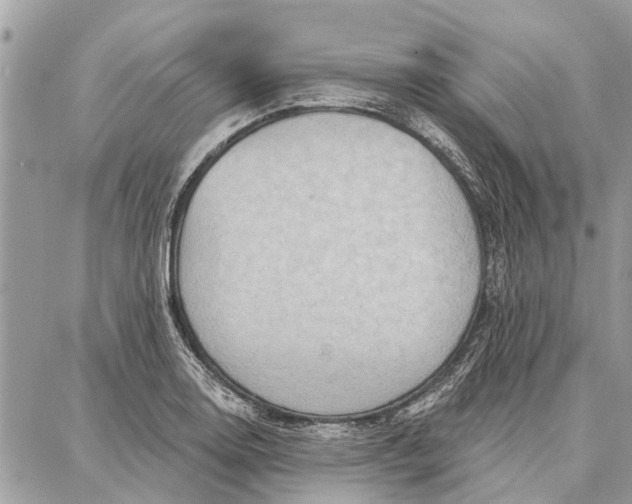 X0000086931130200705071346