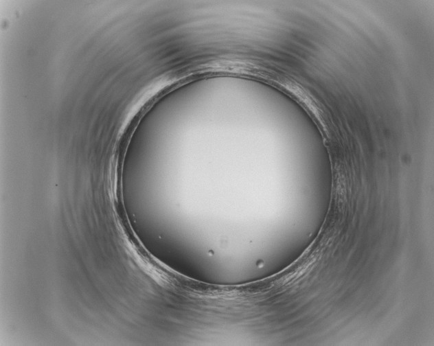 X0000086931131200705071346