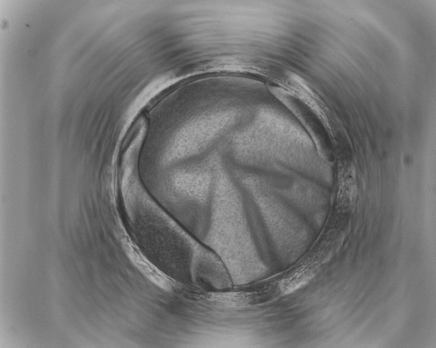 X0000086931132200705071346