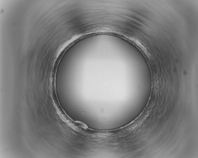 X0000086931134200705071346