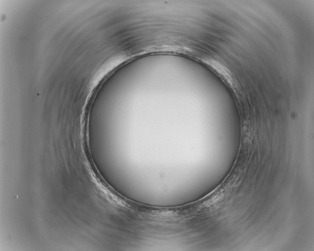 X0000086931135200705071346