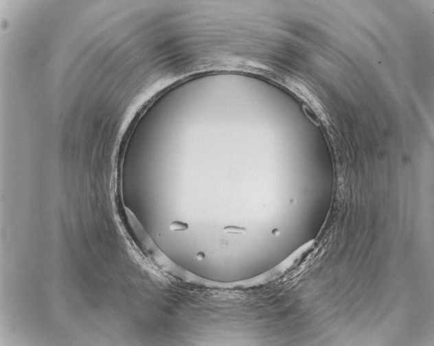 X0000086931136200705071346