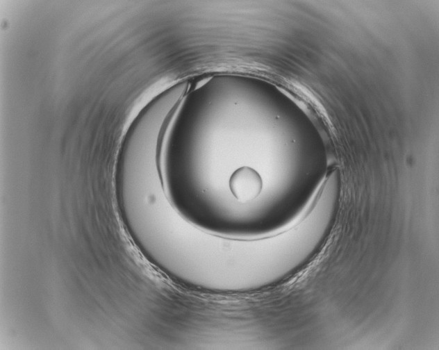 X0000086931138200705071346