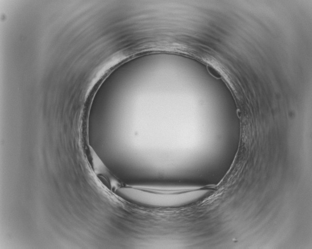 X0000086931139200705071346