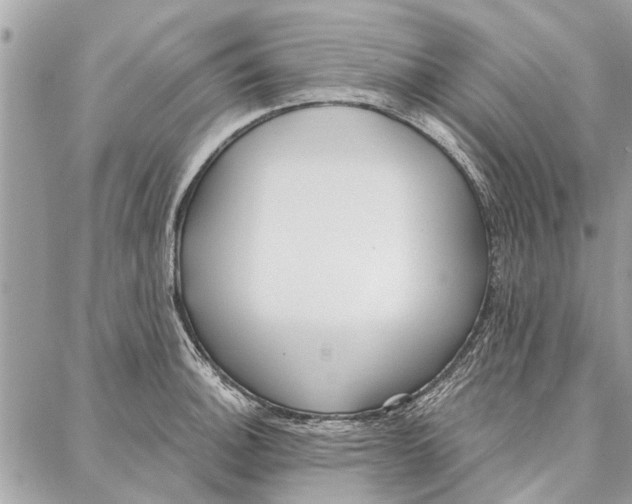 X0000086931140200705071346