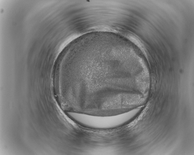 X0000086931141200705071346