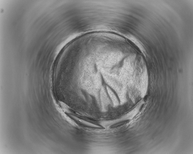 X0000086931142200705071346