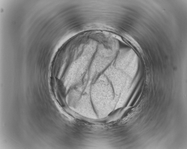 X0000086931144200705071346