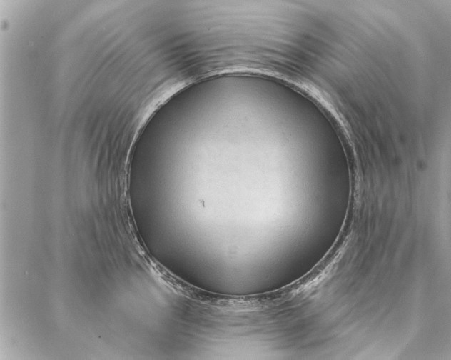 X0000086931145200705071346