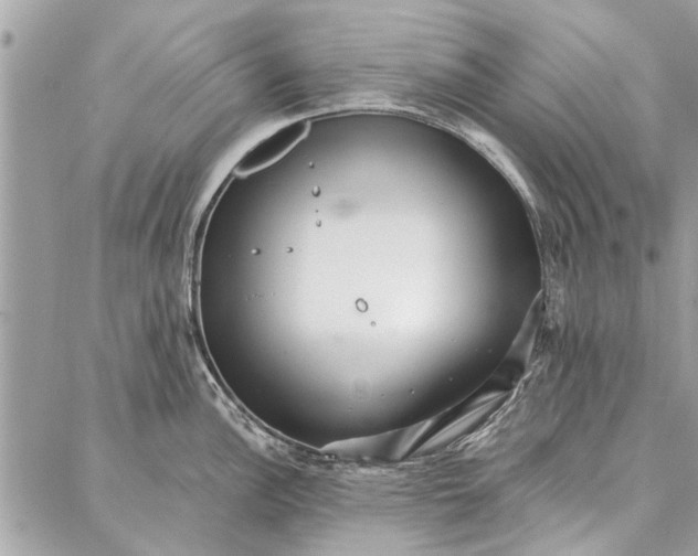 X0000086931148200705071347