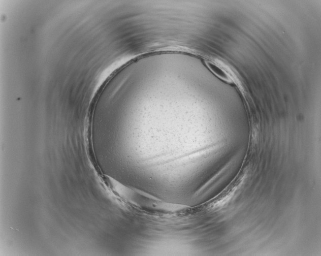 X0000086931149200705071347