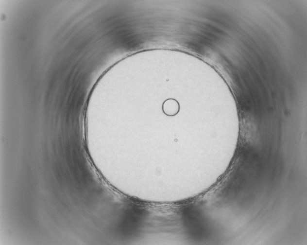 X0000086931150200705071347