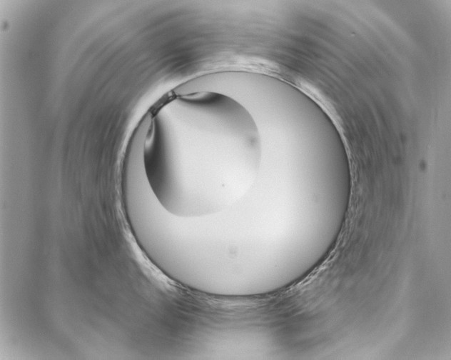 X0000086931152200705071347