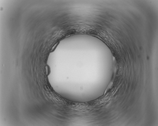 X0000086931153200705071346