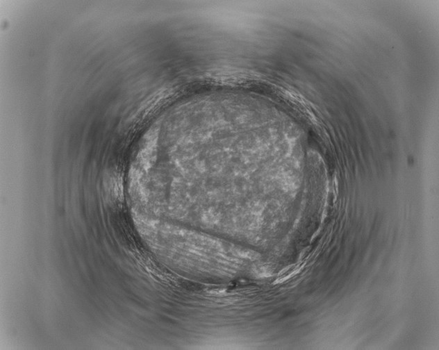 X0000086931155200705071346