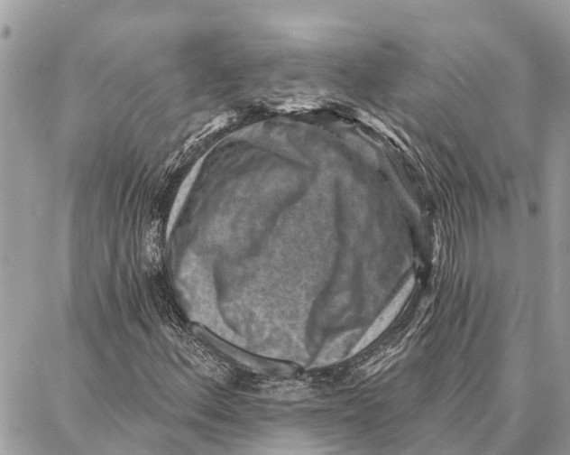 X0000086931156200705071346