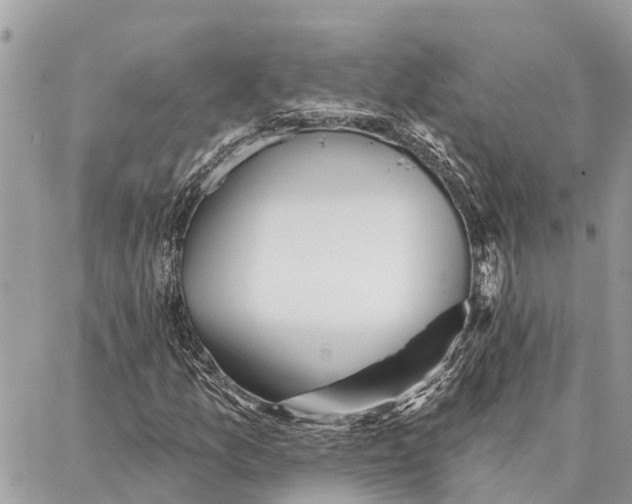 X0000086931157200705071346