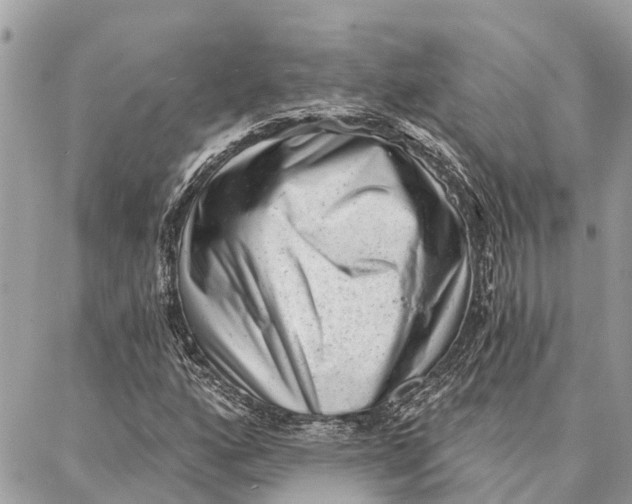 X0000086931160200705071346