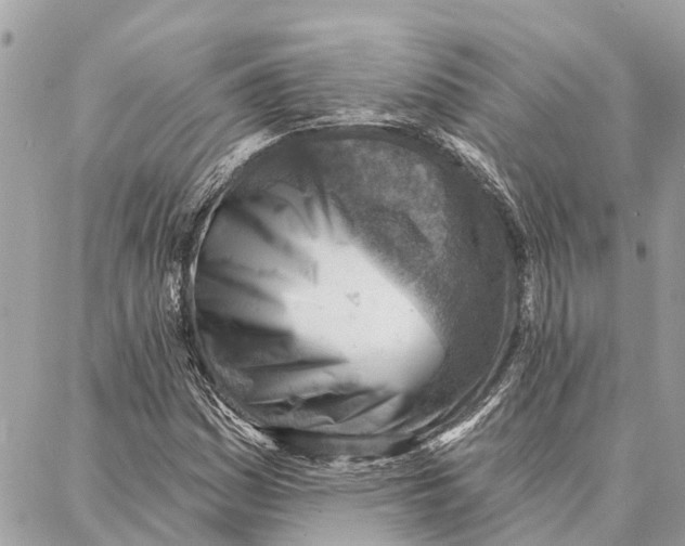 X0000086931161200705071346