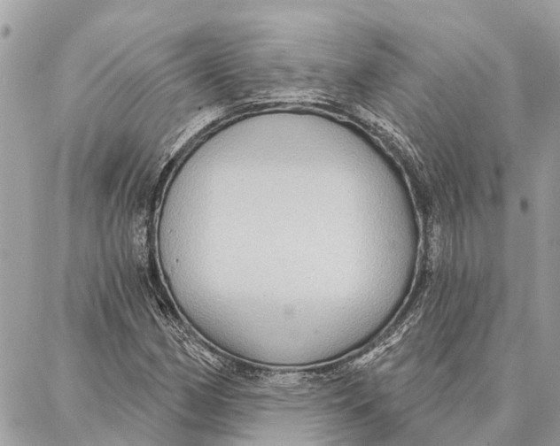 X0000086931162200705071346