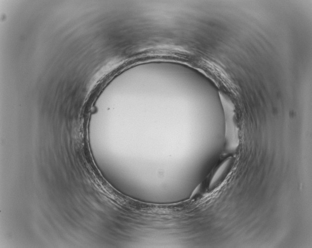 X0000086931164200705071346