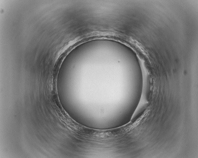 X0000086931165200705071346