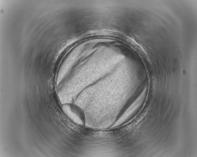 X0000086931166200705071346