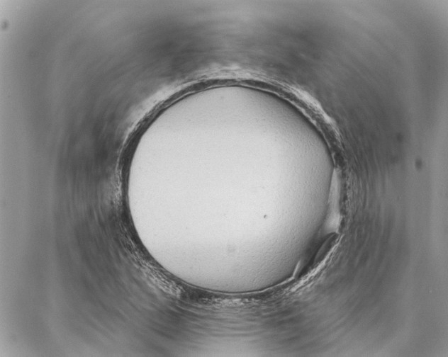 X0000086931167200705071346