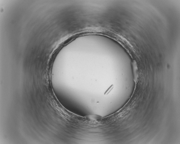 X0000086931168200705071346