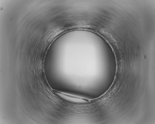 X0000086931169200705071346