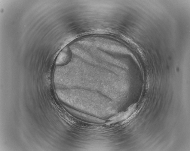 X0000086931170200705071346