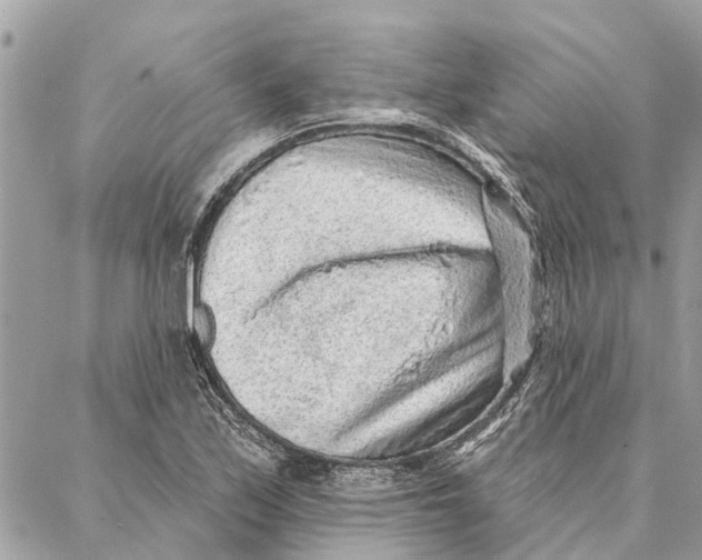 X0000086931171200705071346