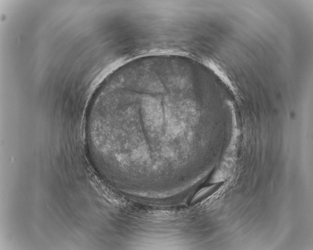 X0000086931173200705071346