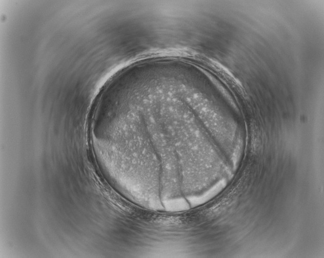 X0000086931174200705071345