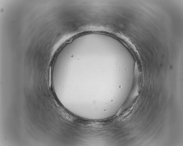 X0000086931175200705071345