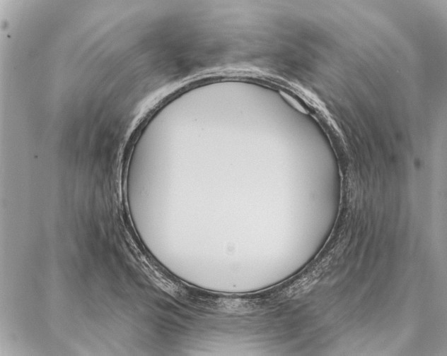 X0000086931176200705071345