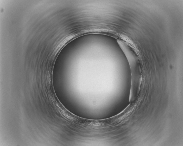 X0000086931177200705071345