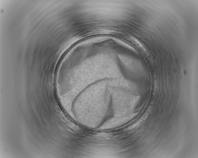 X0000086931178200705071345