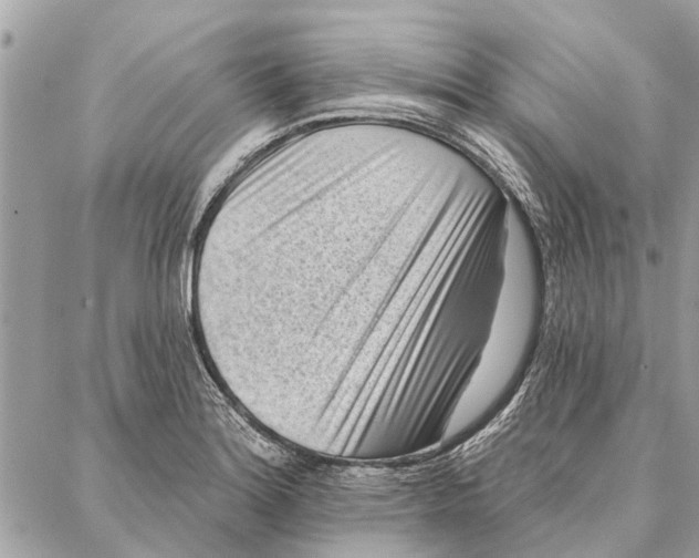 X0000086931180200705071345