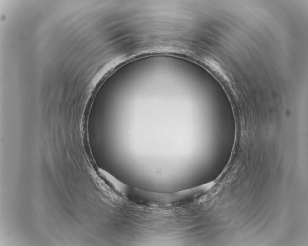 X0000086931181200705071345