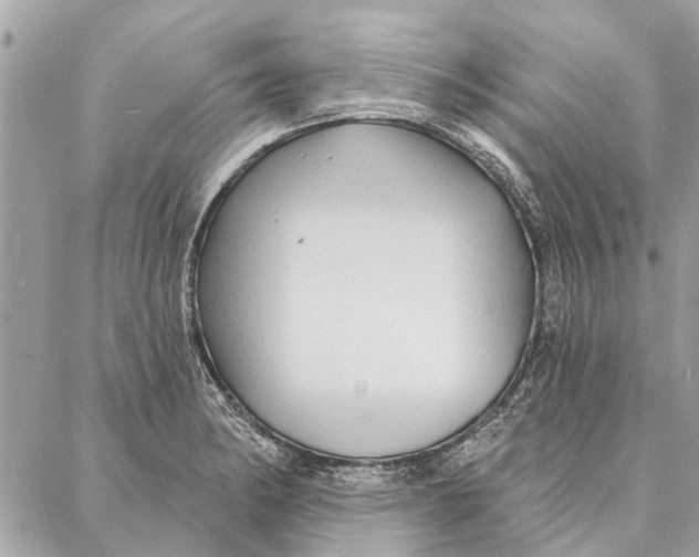 X0000086931182200705071345