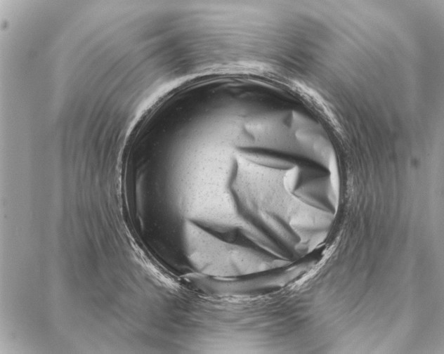 X0000086931184200705071345