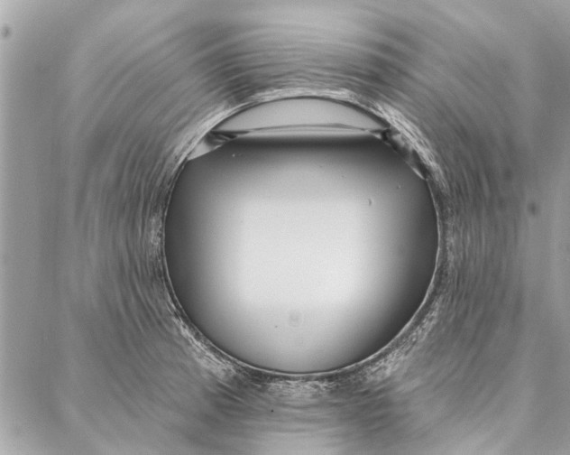 X0000086931185200705071345