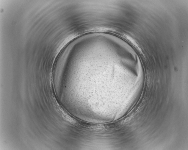 X0000086931186200705071345