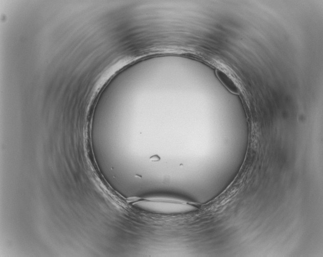 X0000086931187200705071345