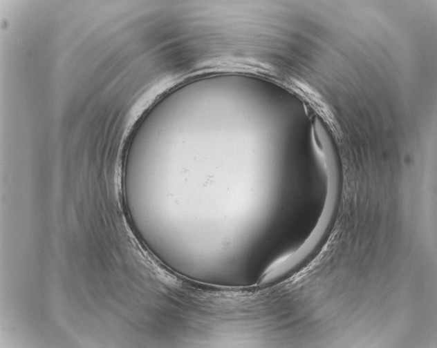 X0000086931188200705071345