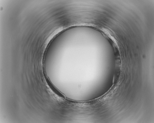 X0000086931189200705071345