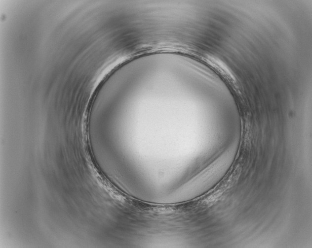 X0000086931190200705071345